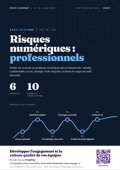 Kit 19 : Audit système · Risques numériques : professionnels